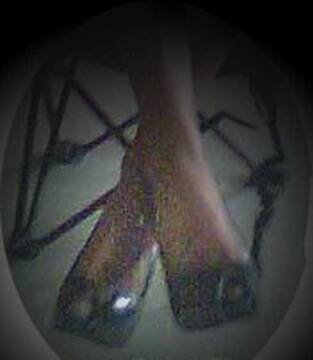 Public Photo of vittoriaviky