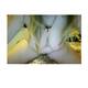 Private Photo of Gattina-Hot Private Photo of Gattina-Hot
