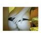 Private Photo of Gattina-Hot Private Photo of Gattina-Hot